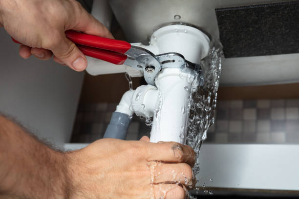 Best Flood damage cleanup  in Streator, IL