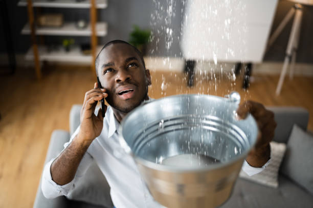 Best Sewage cleanup and water damage restoration  in Streator, IL