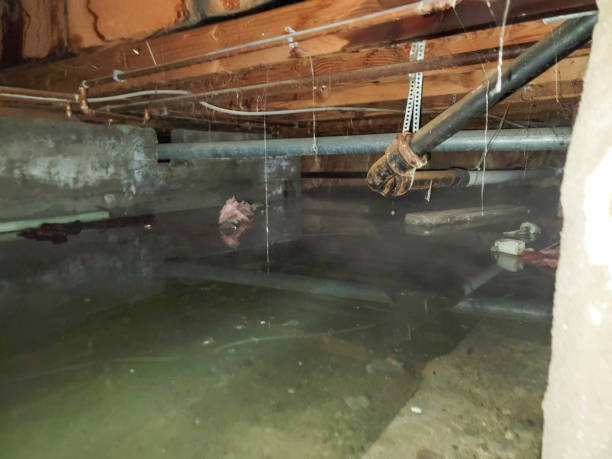 Best Professional water damage repair  in Streator, IL