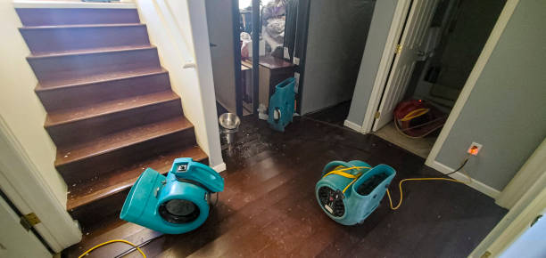 Best Flooded house restoration  in Streator, IL