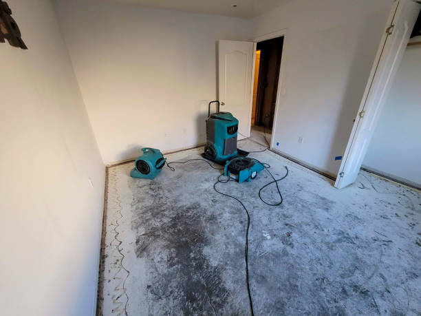 Trusted Streator, IL Water damage restoration Experts