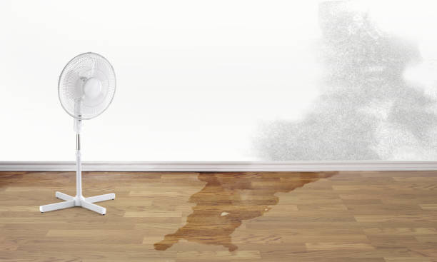 Best 24/7 water damage repair  in Streator, IL