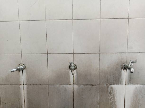 Carpet water damage restoration in Streator, IL
