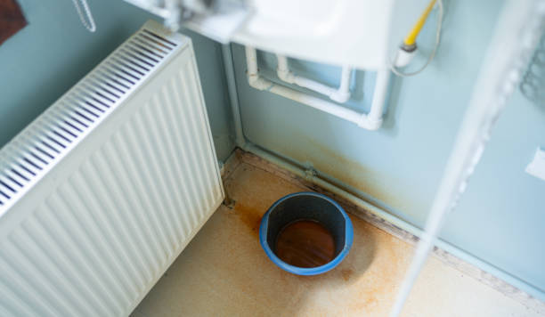 Best Mold removal after water damage  in Streator, IL