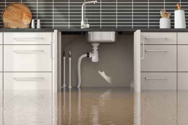 Best Commercial water damage restoration  in Streator, IL