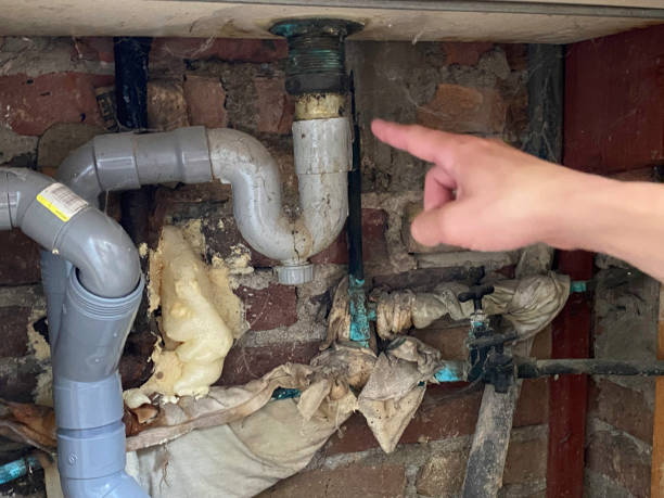 Best Residential water damage restoration  in Streator, IL